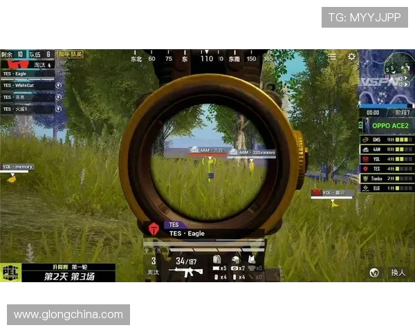 和平精英耐力排行榜更新FPX战队荣登第四名引发关注