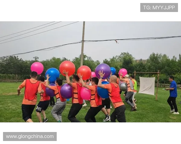 成都排球队攻势变革新篇章探索团队协作与战术创新的完美结合