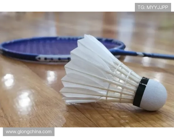 深圳羽毛球队盯防战术深度解析与实战应用探讨 深圳羽毛球队盯防战术深度解析与实战应用探讨