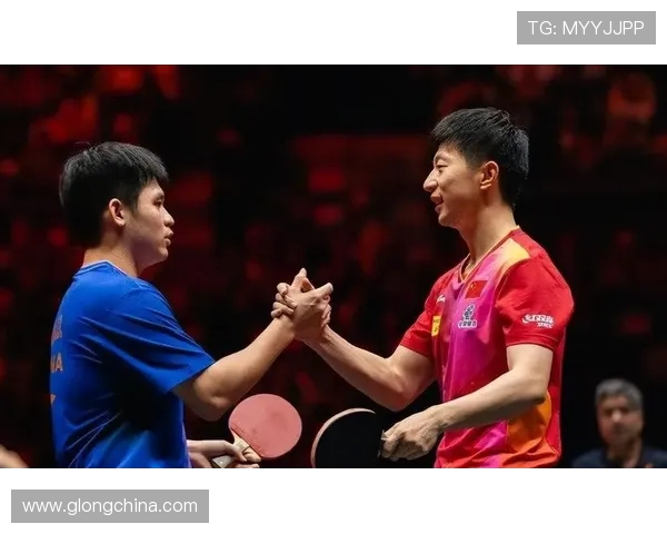 乒乓球跨越时代的激情之战见证速度力量与智慧的完美融合